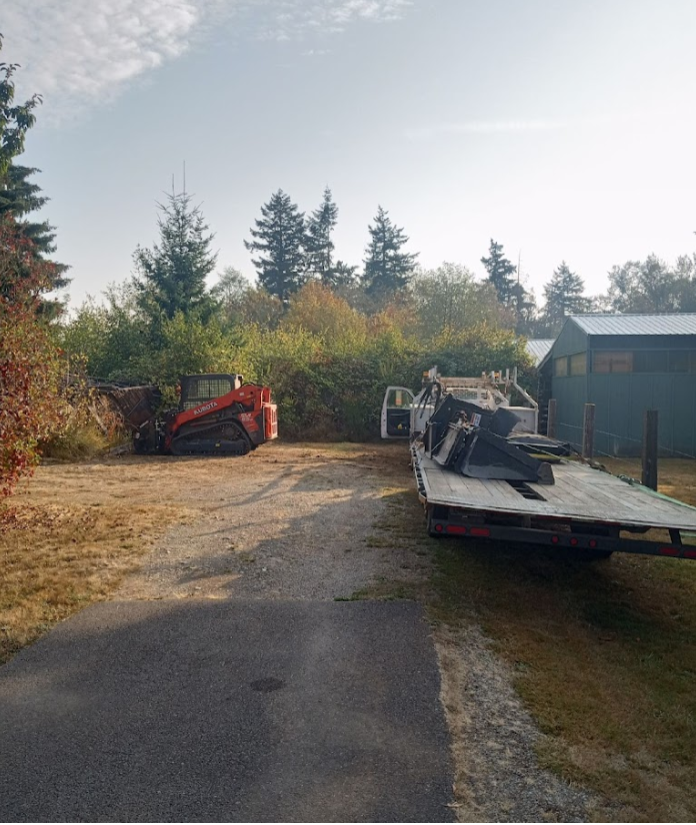 Trees Removal Near Me